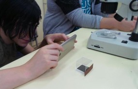 ep alumno haciendo fotomosquito tigre