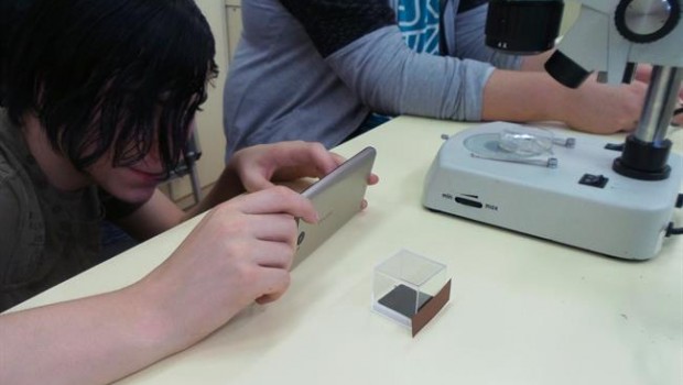 ep alumno haciendo fotomosquito tigre