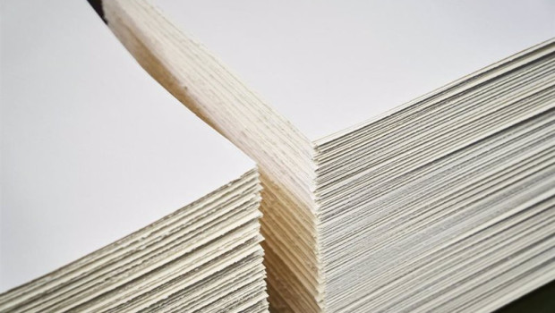ep archivo   produccion de celulosa para papel