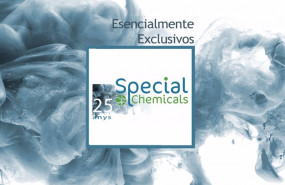 ep archivo   special chemicals