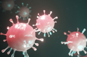 ep coronavirus 20200313174513