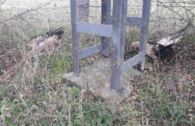 ep fwd gruposociedad nota de prensa la muerte de tres aguilas imperiales en la provincia de toledo