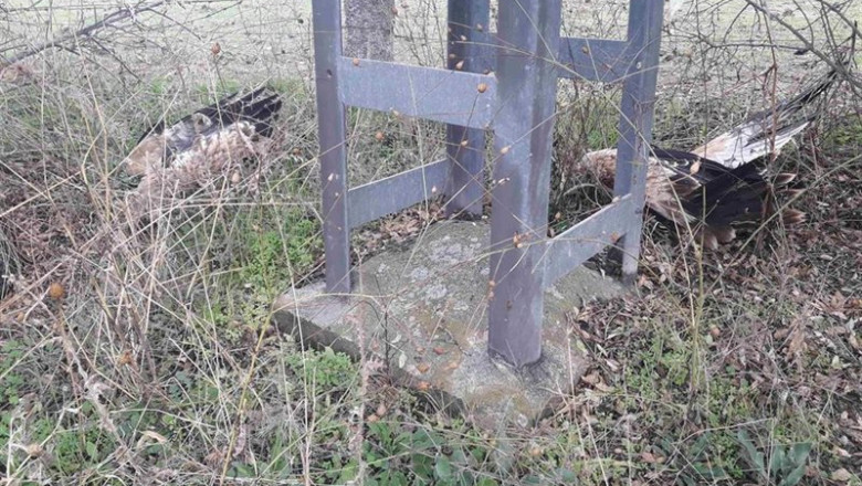ep fwd gruposociedad nota de prensa la muerte de tres aguilas imperiales en la provincia de toledo ep fwd gruposociedad nota de prensa la muerte de tres aguilas imperiales en la provincia de toledo