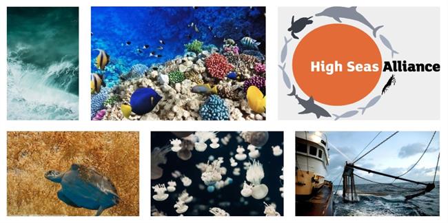 High Seas Alliance | HIGH SEAS ALLIANCE ep high seas alliance