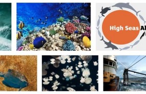 ep high seas alliance