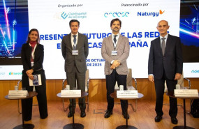 ep jornada de redes electricas organizada por enerclub