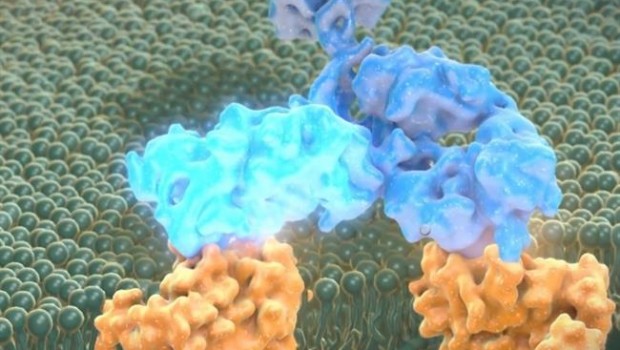 ep ocrelizumab