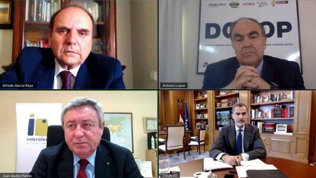 ep representantes de cooperativas y grupos oleicolas de andalucia en videoconferencia con el rey