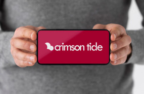 image of the news Ideagen abandons pursuit of Crimson Tide, shares slide