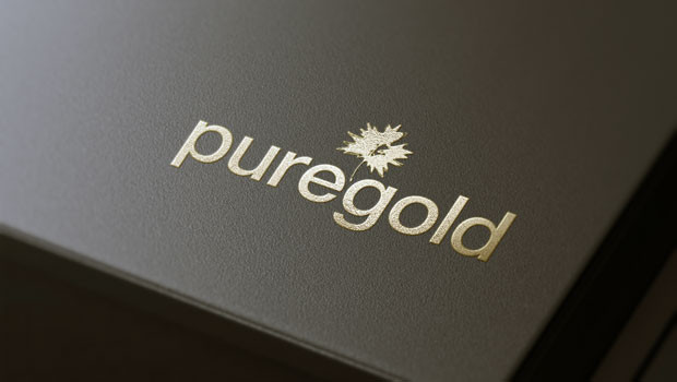 dl pure gold mining canada precious metals miner producer explorer puregold logo