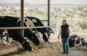 ep archivo   inlac solicita maxima transparencia en la indicacion del origen de la leche y