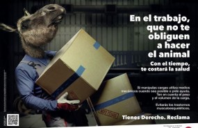 ep campana ugt