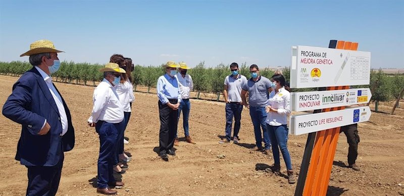 El ministro de Agricultura, Luis Planas, este lunes durante su visita a la finca El Valenciano en Carmona (Sevilla). | MINISTERIO DE AGRICULTURA ep el ministro de agricultura luis planas este lunes durante su visita a la finca el valenciano en