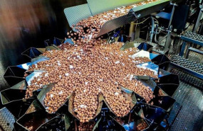 ep fabricacion de alimentos para animales