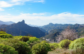 ep incendio en gran canaria