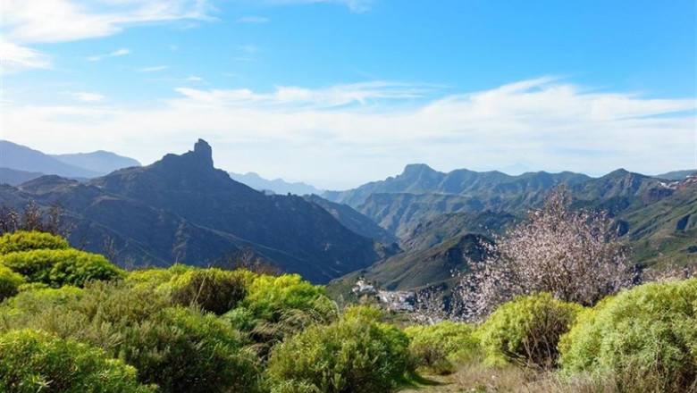Incendio en Gran Canaria. | BBVA ep incendio en gran canaria