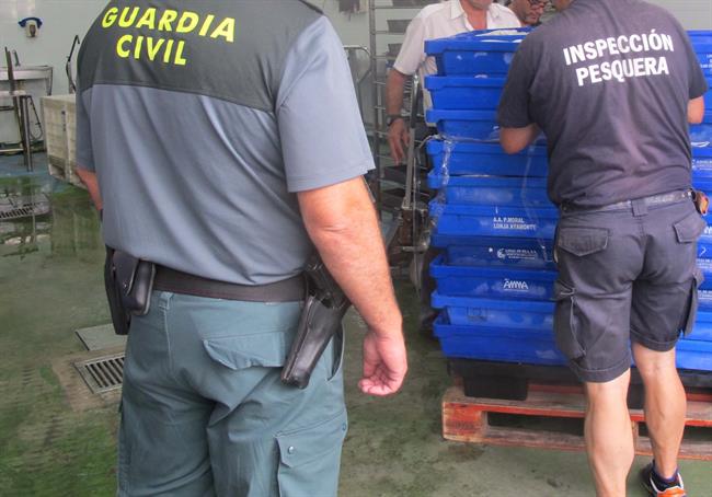 Intervienen en Isla Crisina (Huelva) pescado sin etiquetar. | EUROPA PRESS/GUARDIA CIVIL DE HUELVA. ep intervienenisla crisina huelva pescadoetiquetar
