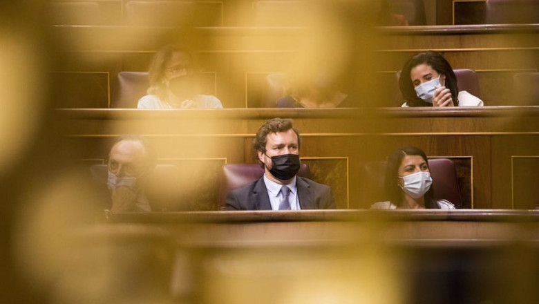 La bancada de Vox, con su portavoz en el centro, Iván Espinosa de los Monteros, durante una sesión plenaria en el Congreso | A.Martínez Vélez. POOL/Europa Press - Europa Press ep la bancada de vox con su portavoz en el centro ivan espinosa de los monteros durante una sesion