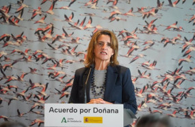 ep la ministra de transicion ecologica y reto demografico teresa ribera durante la rueda de prensa