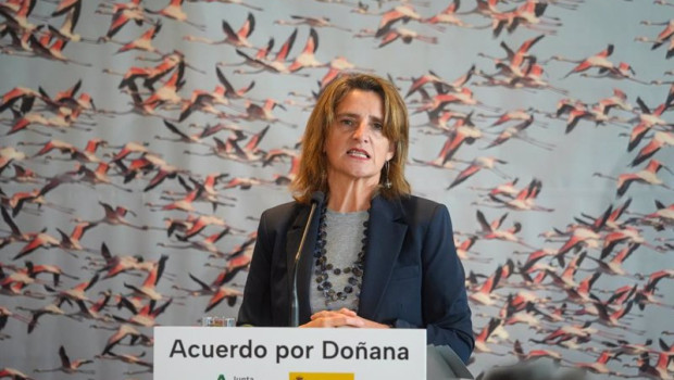 ep la ministra de transicion ecologica y reto demografico teresa ribera durante la rueda de prensa