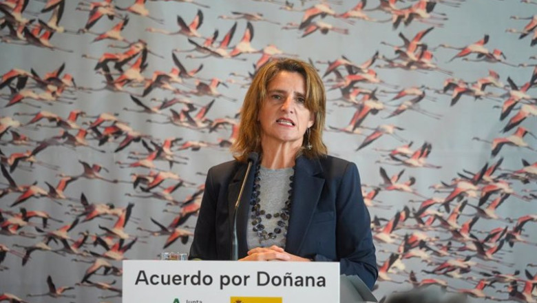 ep la ministra de transicion ecologica y reto demografico teresa ribera durante la rueda de prensa ep la ministra de transicion ecologica y reto demografico teresa ribera durante la rueda de prensa