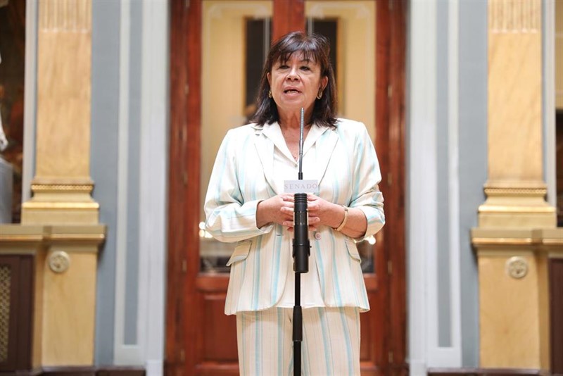 ep la vicepresidenta primera del senado y presidenta del psoe cristina narbona