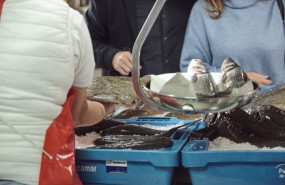 ep pescaderia con pescado de acuicultura