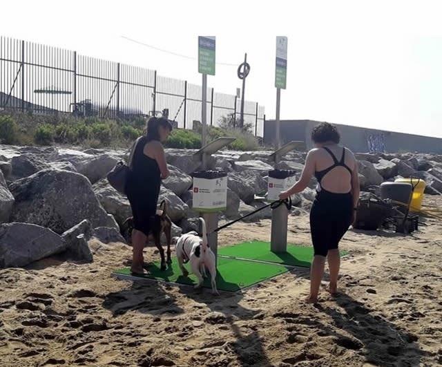Playa de perros de Barcelona | AJUNTAMENT DE BARCELONA ep playaperrosbarcelona