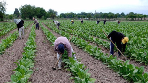 ep trabajadores en el campo