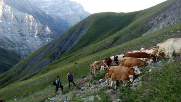 ep una mesa sobre ganaderia extensiva y el paisaje de montana cierra el foro del centenario de