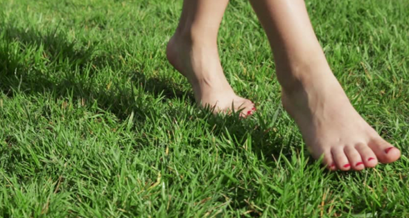 1585186843 captura de pantalla 2020 03 26 a les 24040