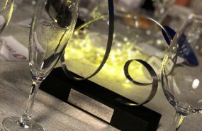 1594719410 premio vozitel