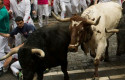 cbalcista sh bull11 cbalcista sh bull11