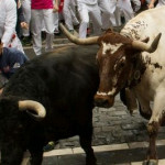 cbalcista sh bull11 cbalcista sh bull11