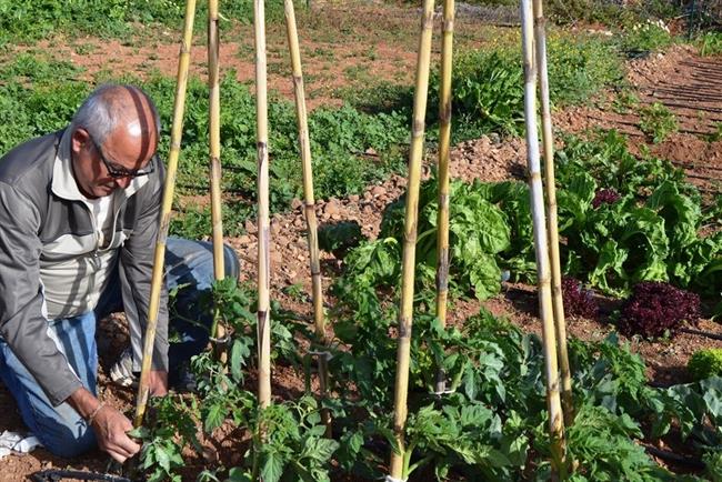 Agricultor | CEDIDA ep agricultor