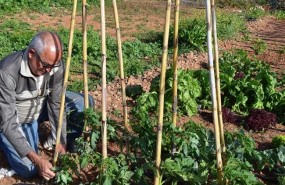 ep agricultor