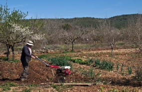 ep agricultor en el campo