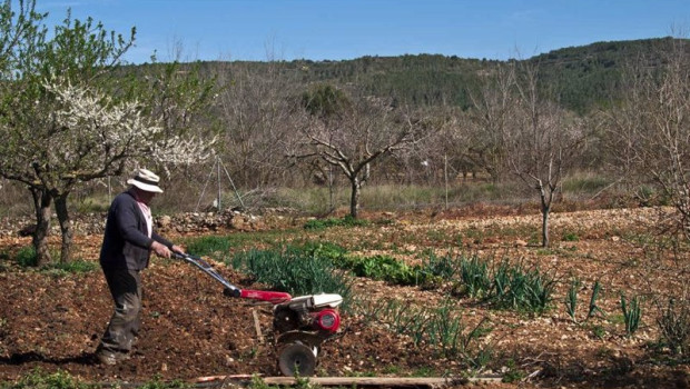 ep agricultor en el campo