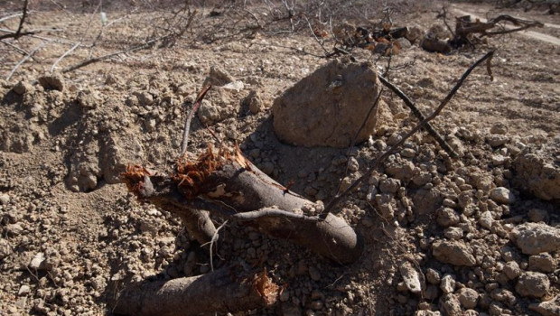 ep archivo   detalles de la tierra seca