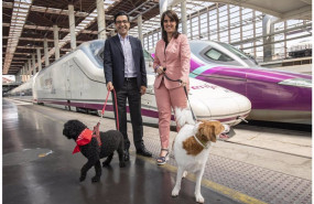 ep archivo perros viajando en renfe ep archivo perros viajando en renfe