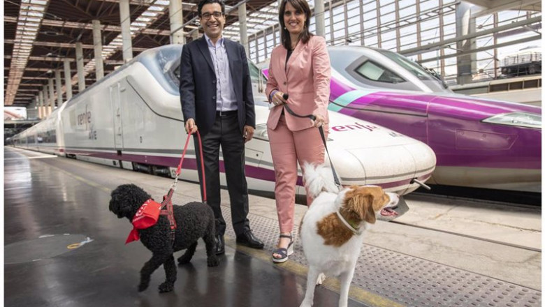 ep archivo perros viajando en renfe ep archivo perros viajando en renfe