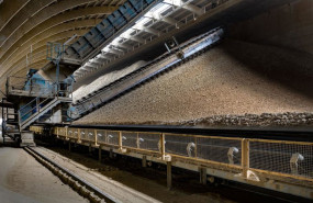 ep archivo   un parque prehomo en una planta cementera