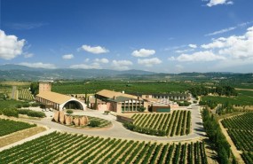 ep bodegas juve y camps
