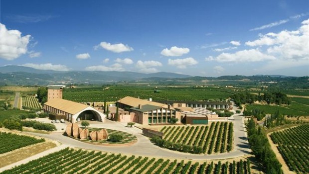 ep bodegas juve y camps