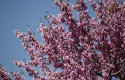 ep buen tiempo clima altas temperaturas temperatura primavera primaveral flor flores