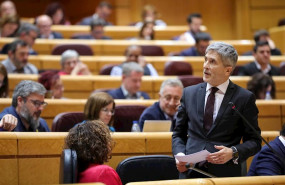 ep el ministro del interior fernando grande-marlaska durante la primera sesion de control al