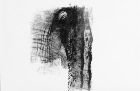 ep exposicionelefante africano de lisette pons enmncn