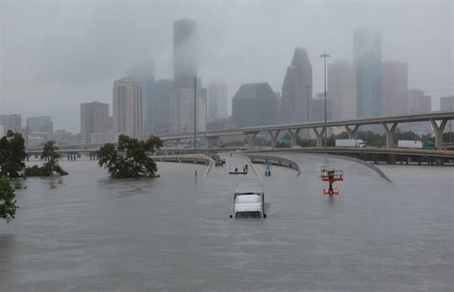 ep harvey