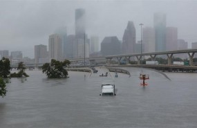 ep harvey