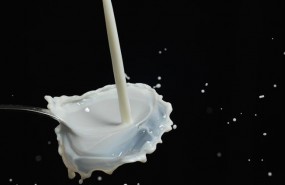 ep leche 20170412122602
